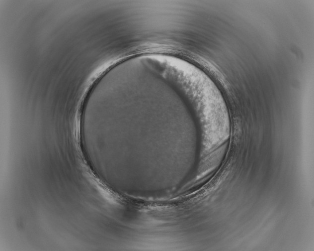 X0000111581419200908131309