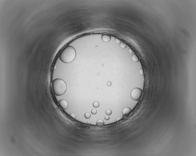 X0000111581420200908131309