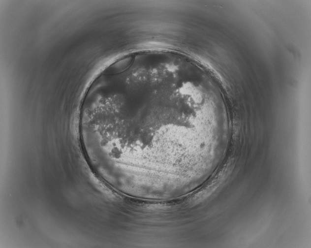 X0000111581421200908131309