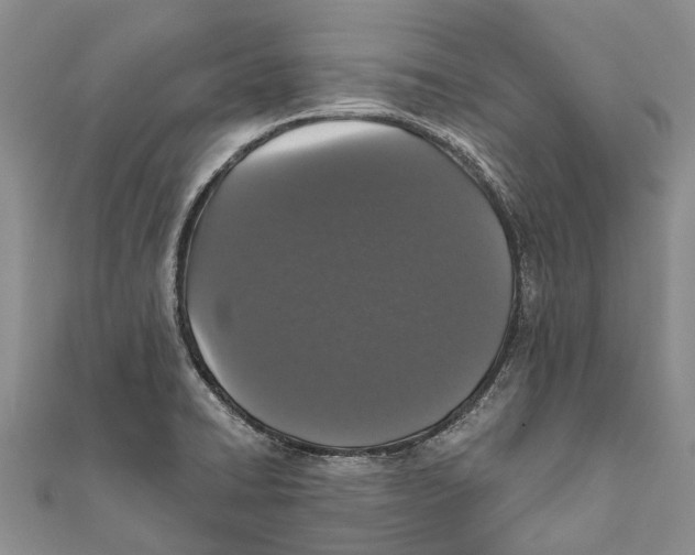 X0000111581422200908131309