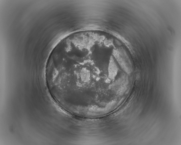 X0000111581423200908131309