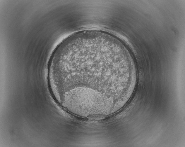 X0000111581424200908131309