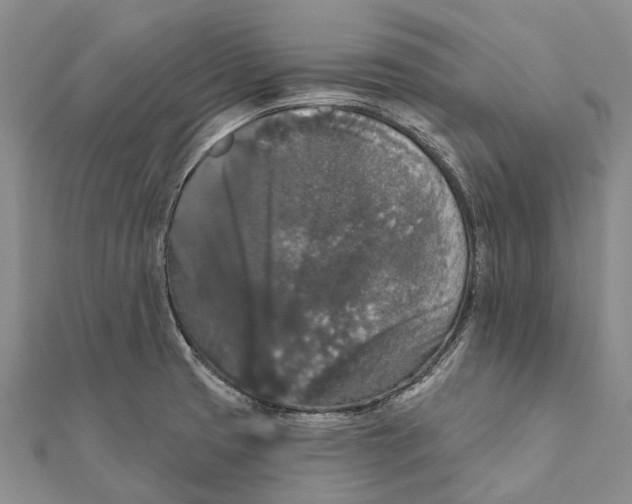 X0000111581425200908131309