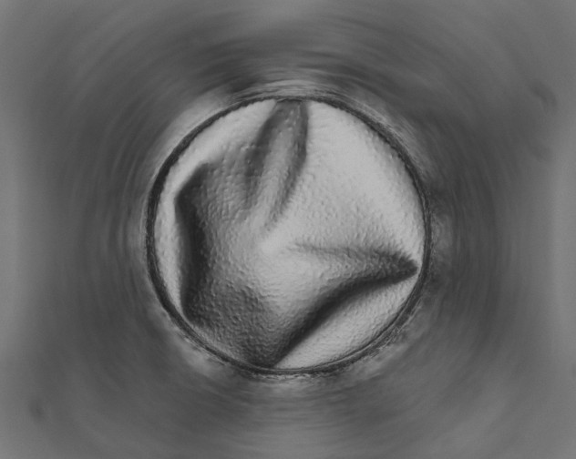 X0000111581426200908131309