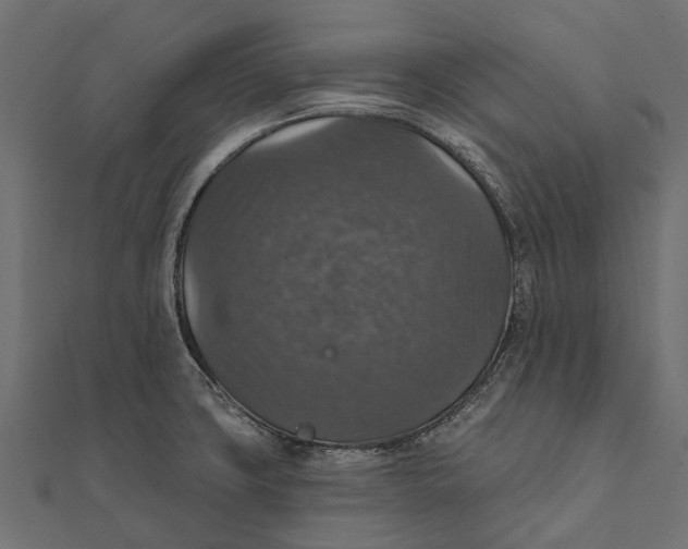 X0000111581427200908131309