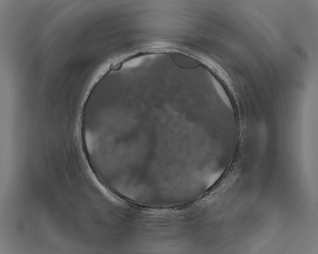 X0000111581429200908131309