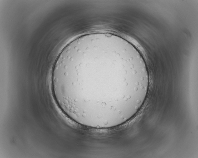 X0000111581431200908131309