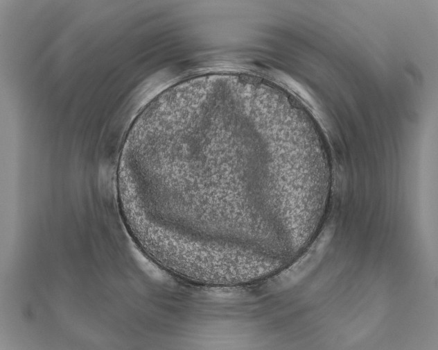 X0000111581433200908131309