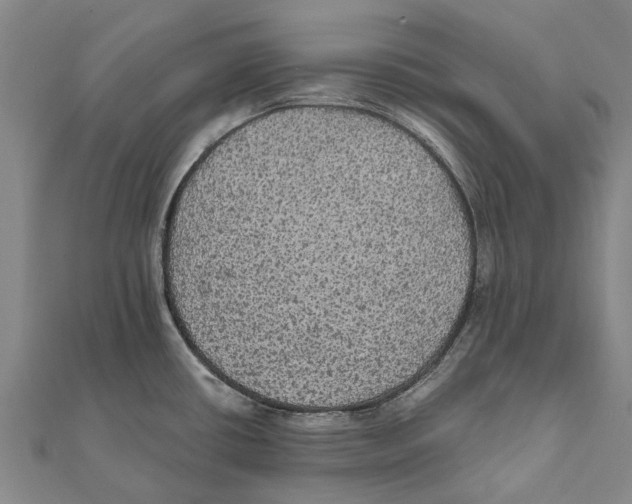 X0000111581434200908131309