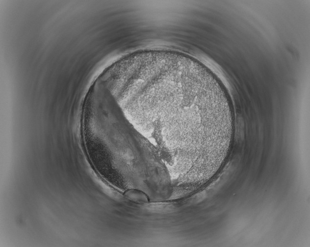 X0000111581437200908131309