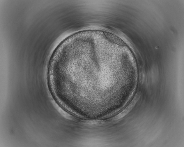 X0000111581438200908131309