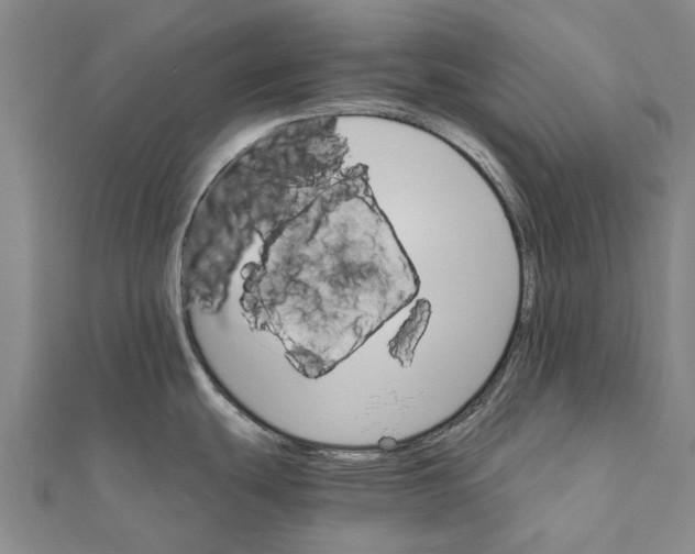 X0000111581439200908131309