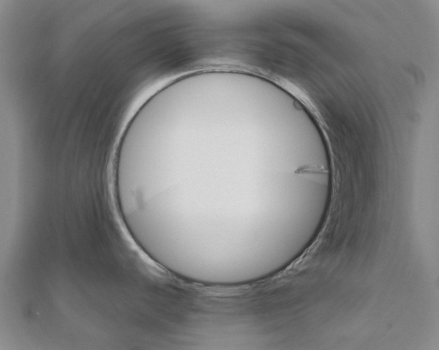 X0000111581440200908131309