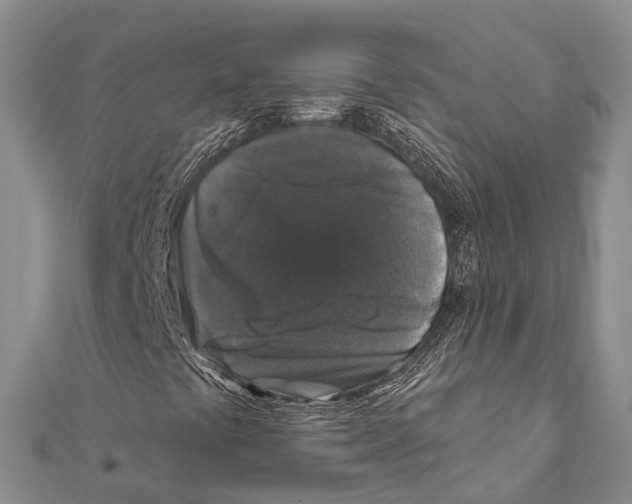 X0000111581441200908131308