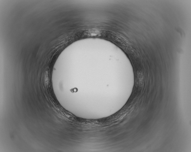 X0000111581442200908131308