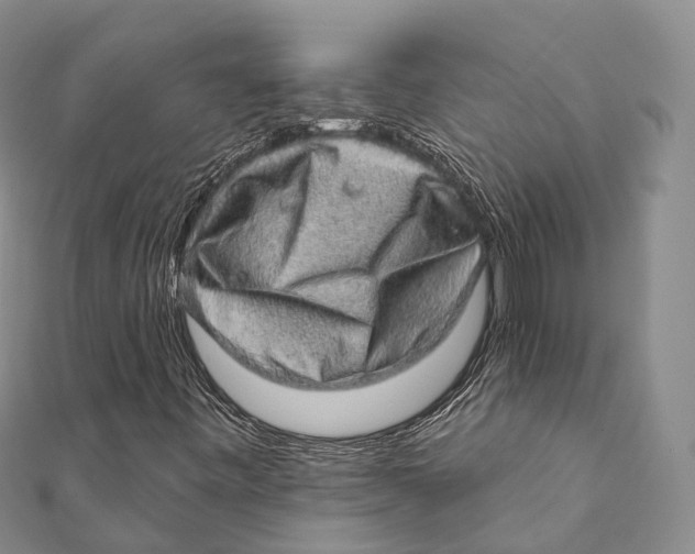 X0000111581443200908131308