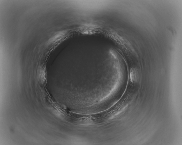 X0000111581444200908131308