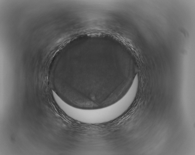 X0000111581445200908131308