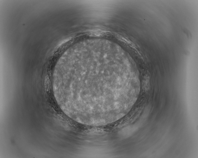 X0000111581446200908131308