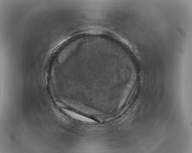 X0000111581448200908131308