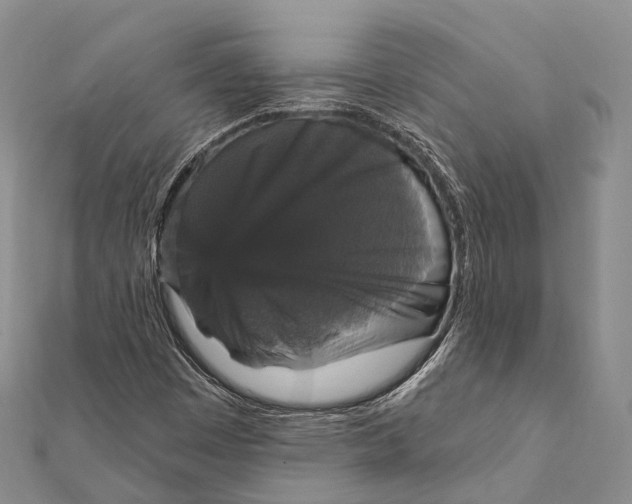 X0000111581449200908131308