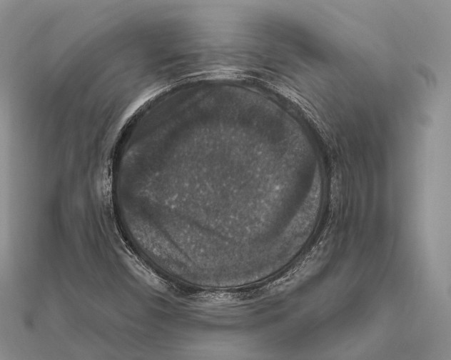 X0000111581450200908131308