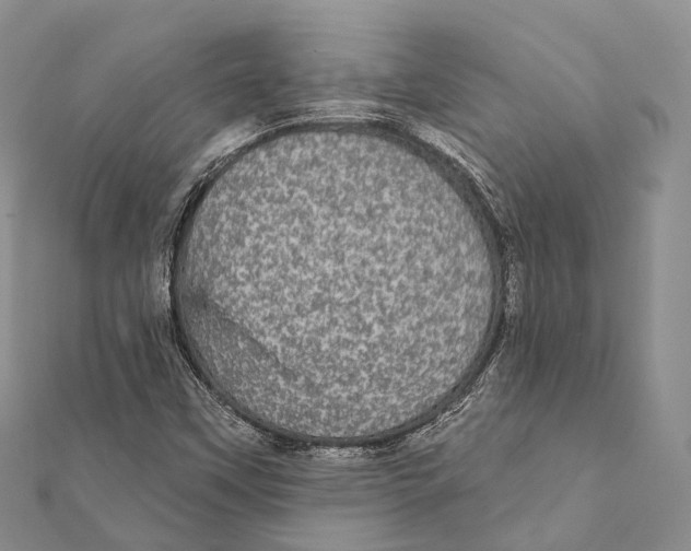 X0000111581451200908131308