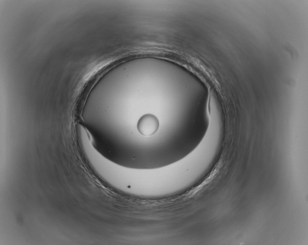 X0000111581453200908131308