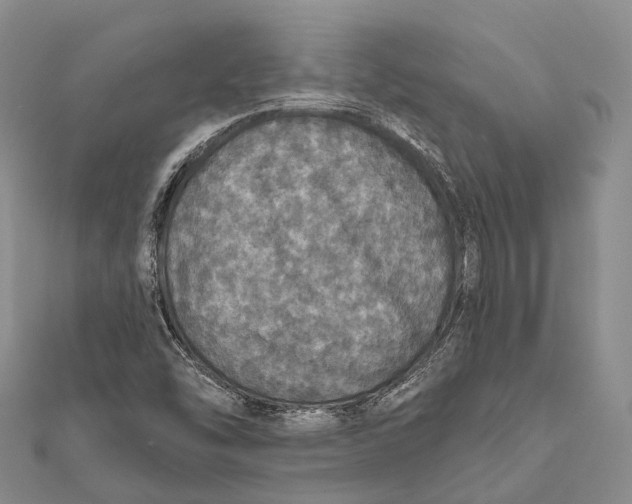 X0000111581454200908131308