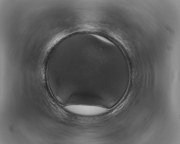 X0000111581455200908131308