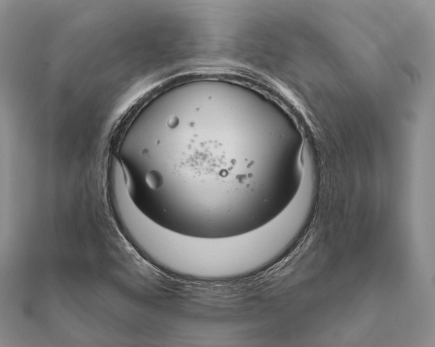 X0000111581456200908131308