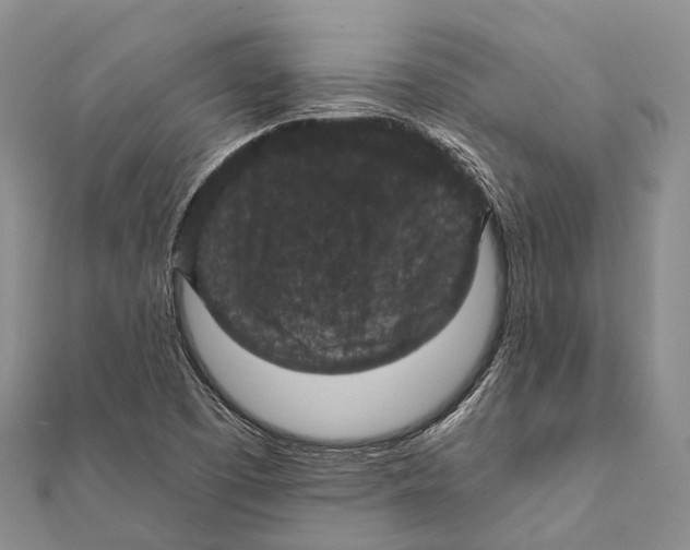 X0000111581457200908131308