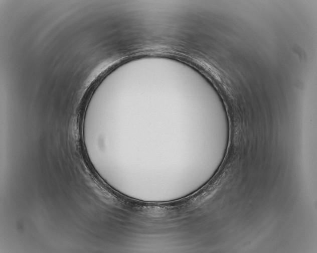 X0000111581458200908131308