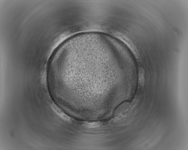 X0000111581460200908131308