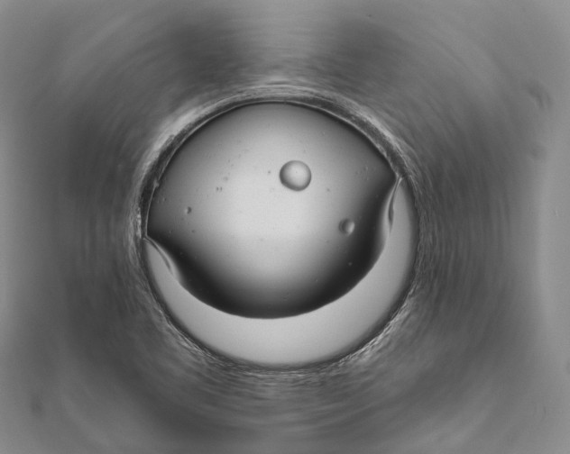 X0000111581461200908131308