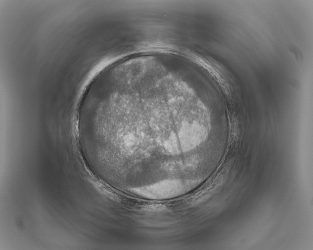 X0000111581462200908131308