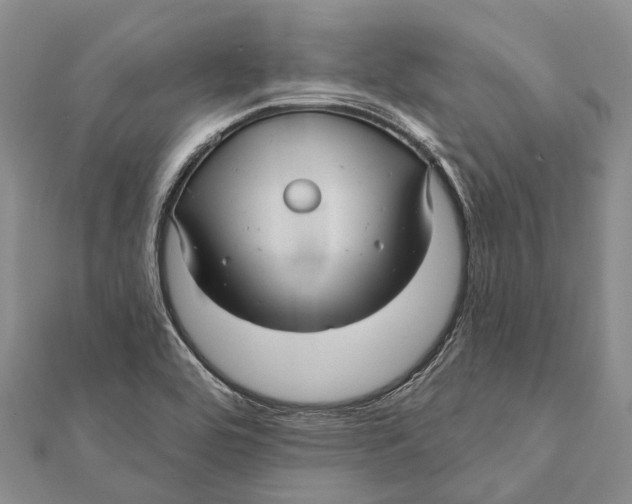 X0000111581464200908131308