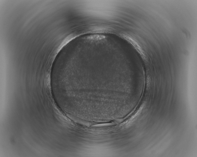 X0000111581465200908131308