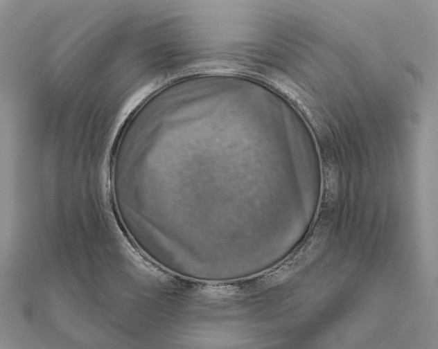 X0000111581466200908131308