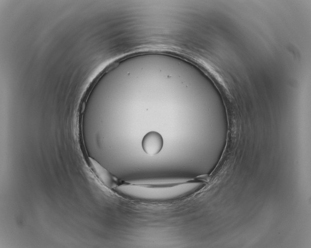 X0000111581468200908131308