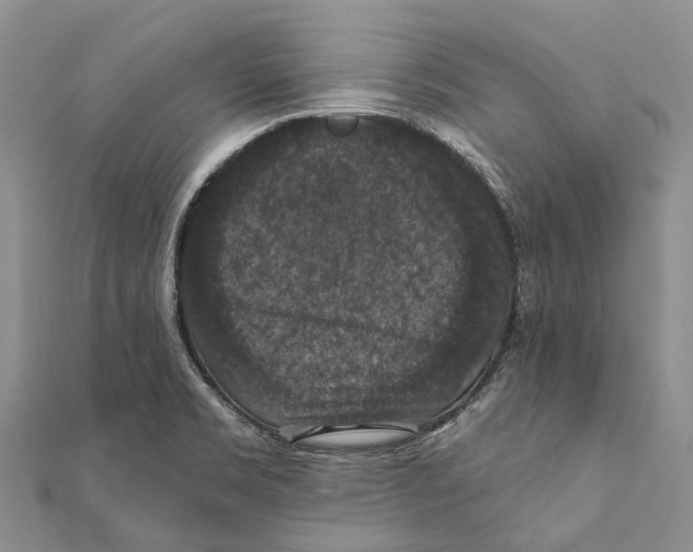 X0000111581469200908131308