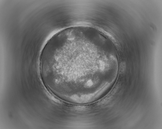 X0000111581470200908131308