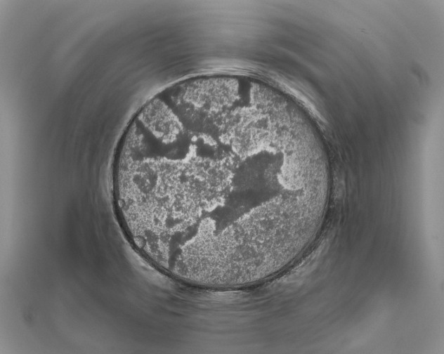 X0000111581471200908131308