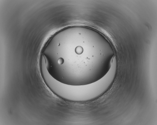 X0000111581472200908131308