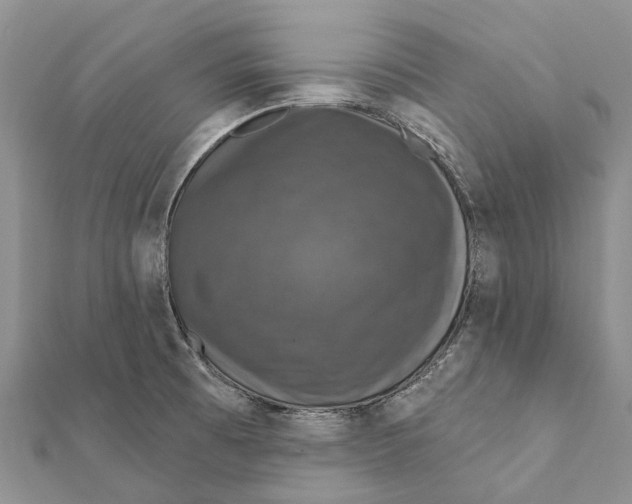 X0000111581473200908131308