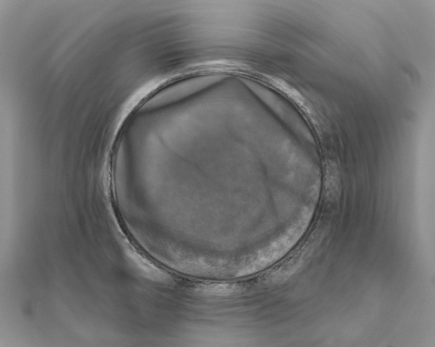 X0000111581474200908131308