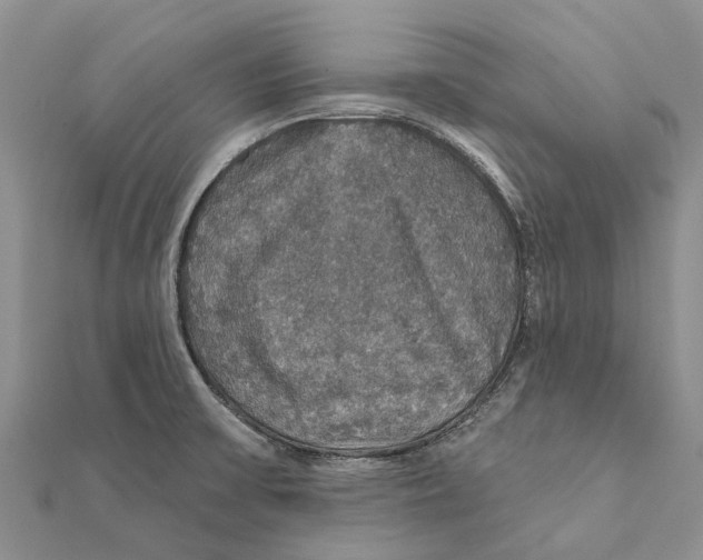 X0000111581475200908131308