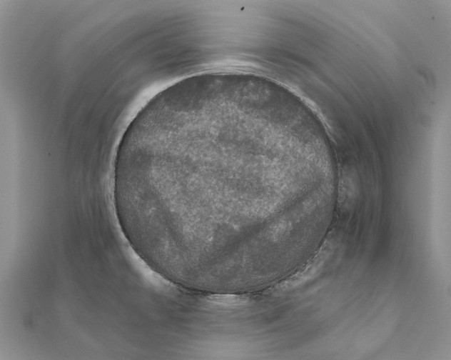 X0000111581478200908131308