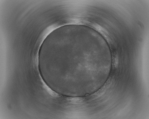 X0000111581479200908131308