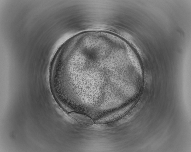 X0000111581480200908131308